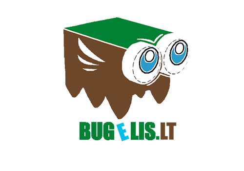 13-bugelis